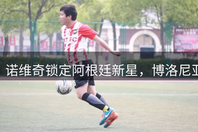 诺维奇锁定阿根廷新星，博洛尼亚边锋成冬窗头号目标